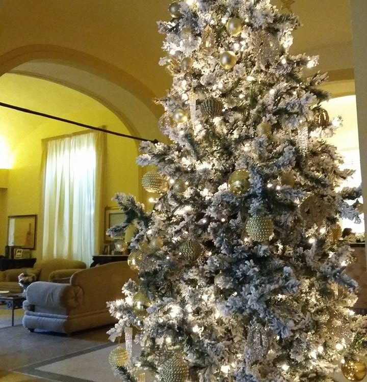 VILLA NATALE 3
